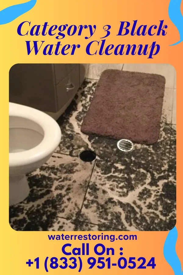 Category 3 Black Water Cleanup in Troy, KS