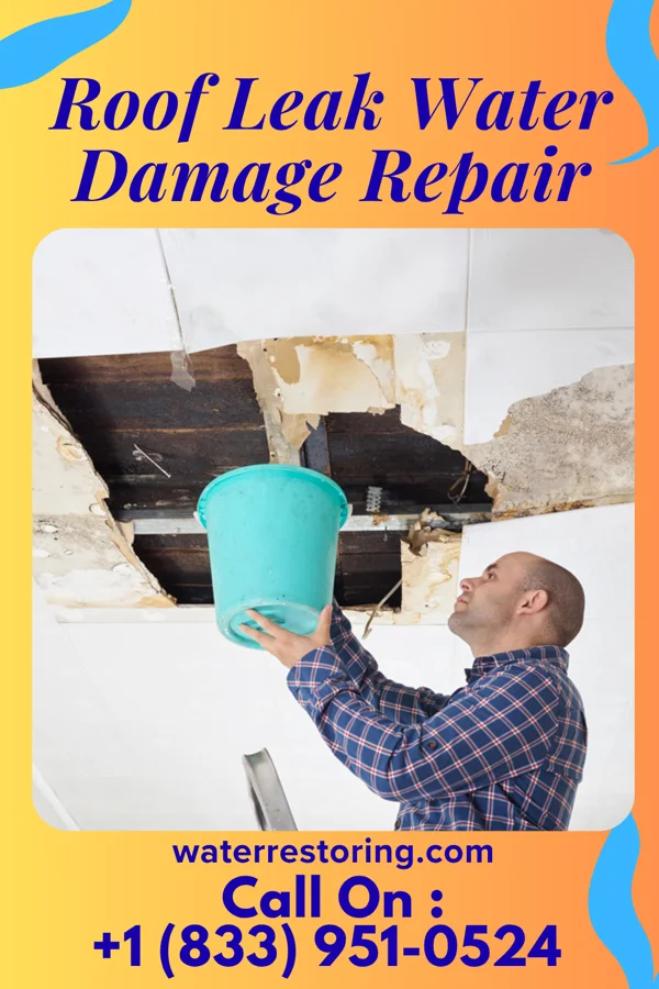 Roof Leak Water Damage Repair in Troy, KS